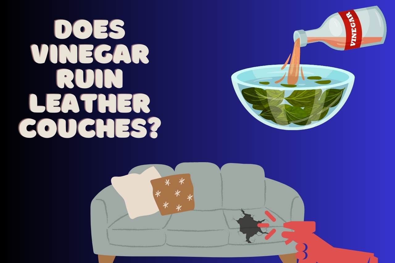 Does Vinegar Ruin Leather Couches