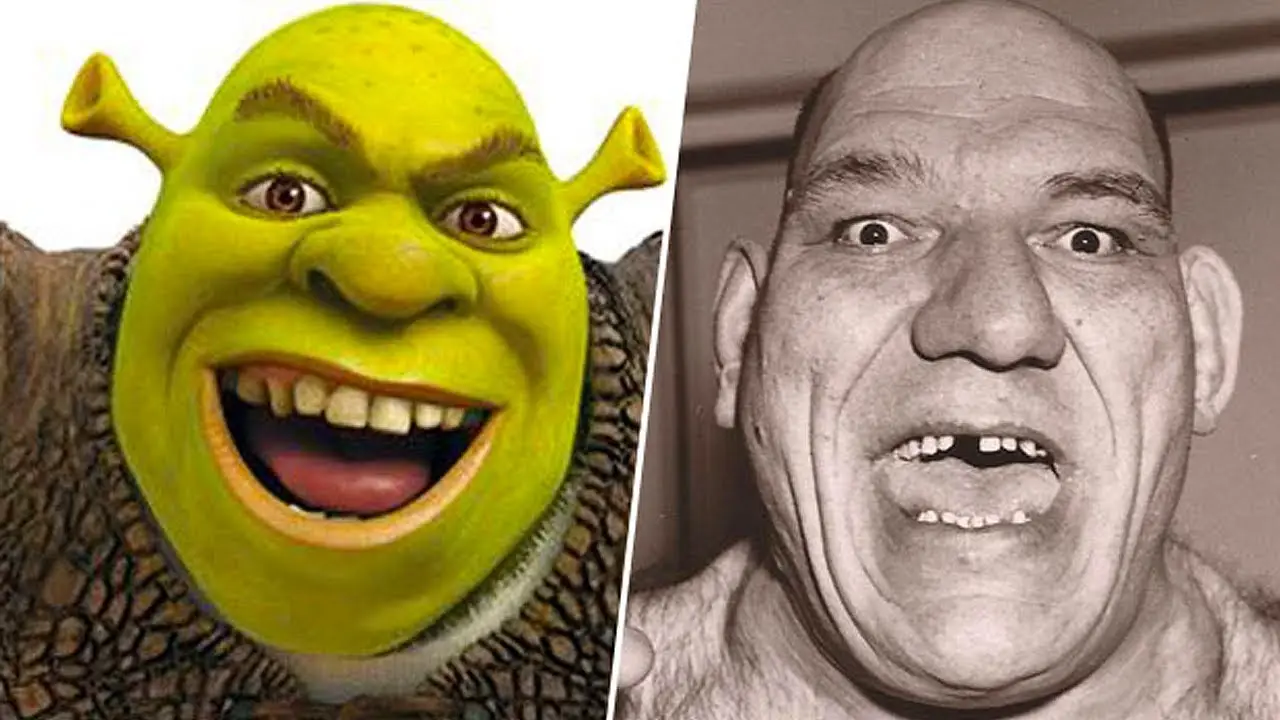 Shrek doppelganger